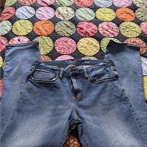 Banana Republic Men's Straight Leg Blue Jeans